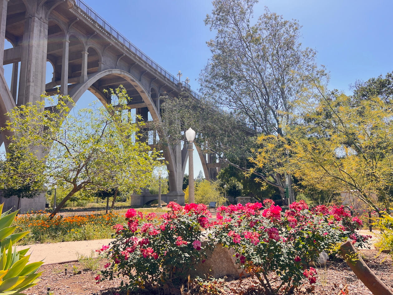 Desiderio Park Pasadena – photo by Laurel Trzaskoma